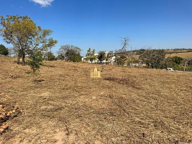 Imagem: Terreno 5000M² Plano, Elevado, Cercado