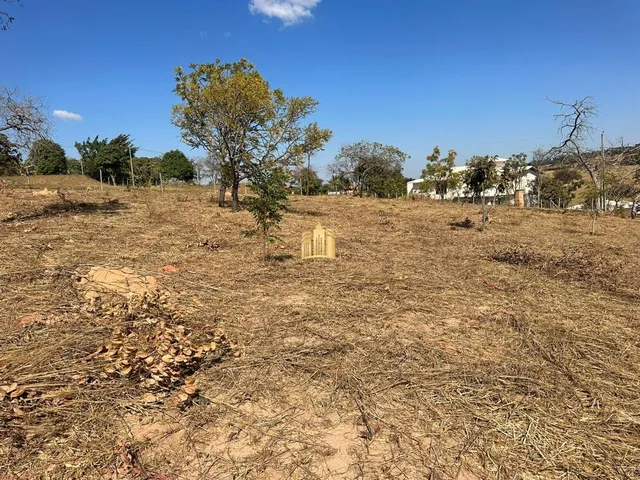 Imagem 8: Terreno 5000M² Plano, Elevado, Cercado, com Escritura. R$ 350.000,00