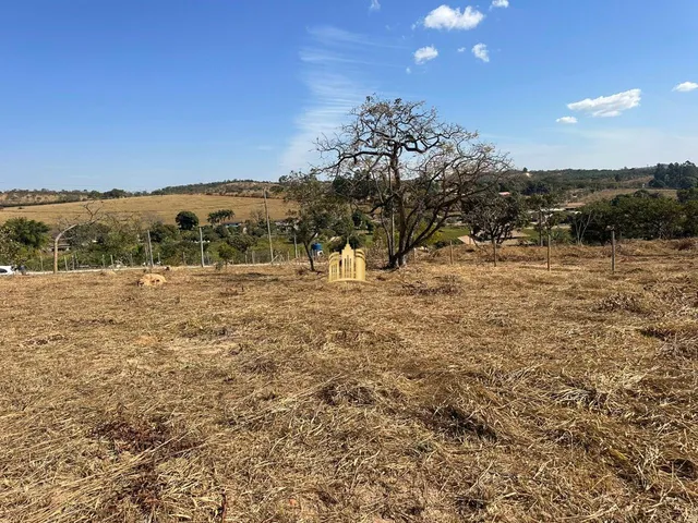 Imagem 4: Terreno 5000M² Plano, Elevado, Cercado, com Escritura. R$ 350.000,00
