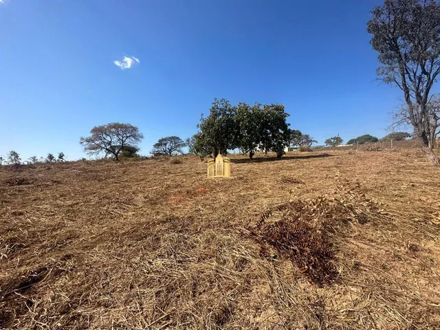 Imagem 9: Terreno 5000M² Plano, Elevado, Cercado, com Escritura. R$ 350.000,00