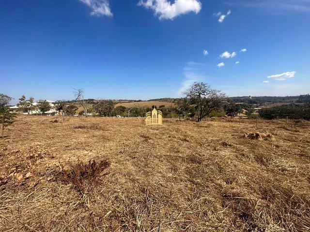 Imagem 5: Terreno 5000M² Plano, Elevado, Cercado, com Escritura. R$ 350.000,00