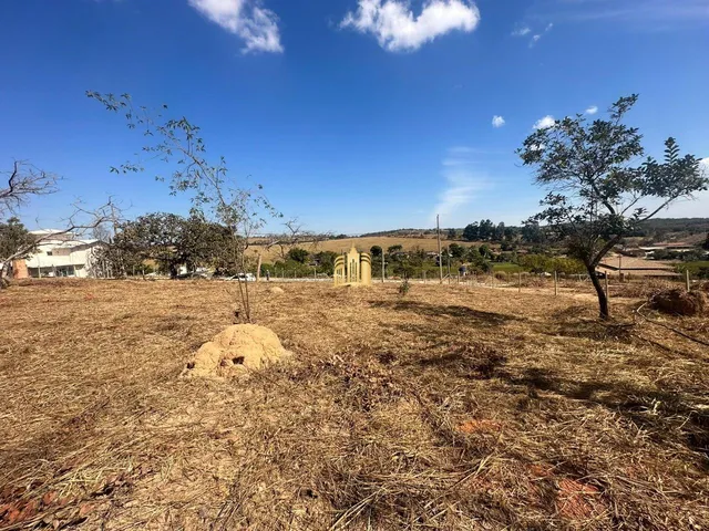 Imagem 11: Terreno 5000M² Plano, Elevado, Cercado, com Escritura. R$ 350.000,00