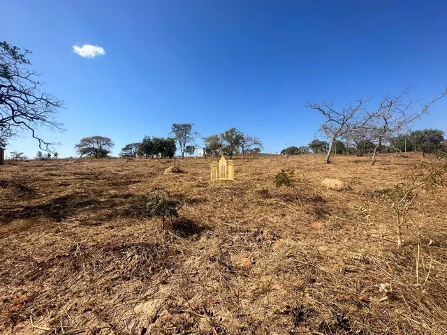 Imagem 2: Terreno 5000M² Plano, Elevado, Cercado, com Escritura. R$ 350.000,00