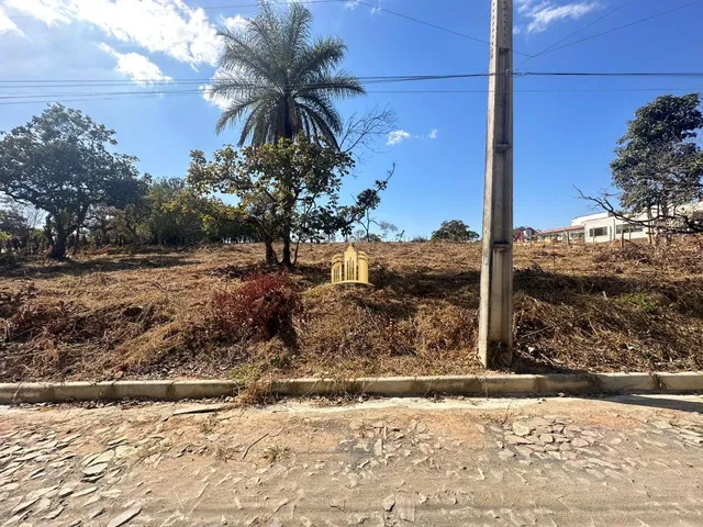 Imagem 7: Terreno 5000M² Plano, Elevado, Cercado, com Escritura. R$ 350.000,00