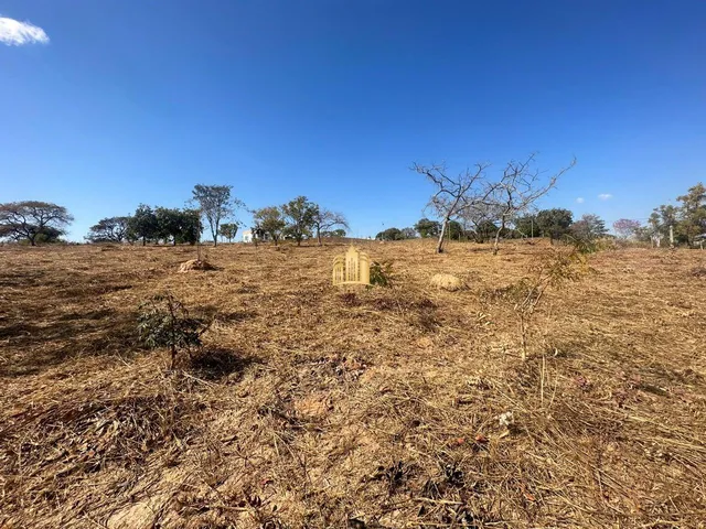 Imagem 6: Terreno 5000M² Plano, Elevado, Cercado, com Escritura. R$ 350.000,00