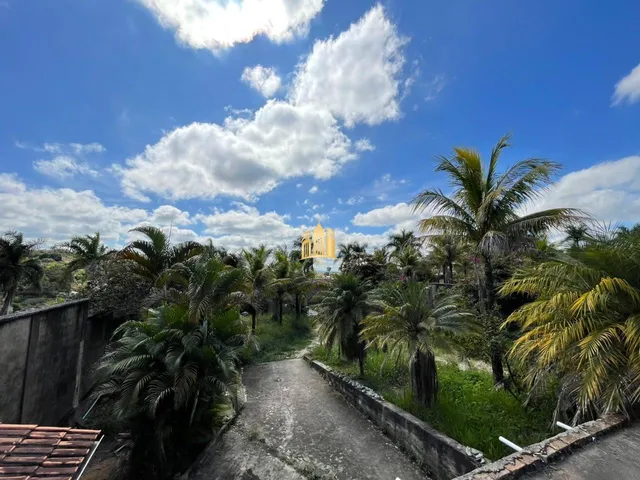 Imagem 10: Área Comercial À Venda Recanto da Mata ? 10 Lotes