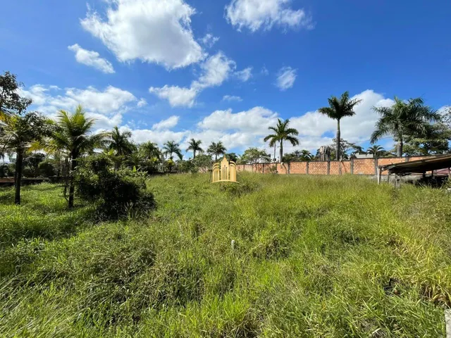 Imagem 4: Área Comercial À Venda Recanto da Mata ? 10 Lotes