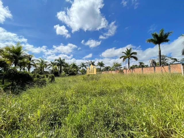 Imagem 5: Área Comercial À Venda Recanto da Mata ? 10 Lotes