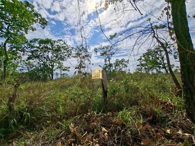 Imagem 11: Terreno a Venda Bairro Mederios em Esmeraldas/Mg