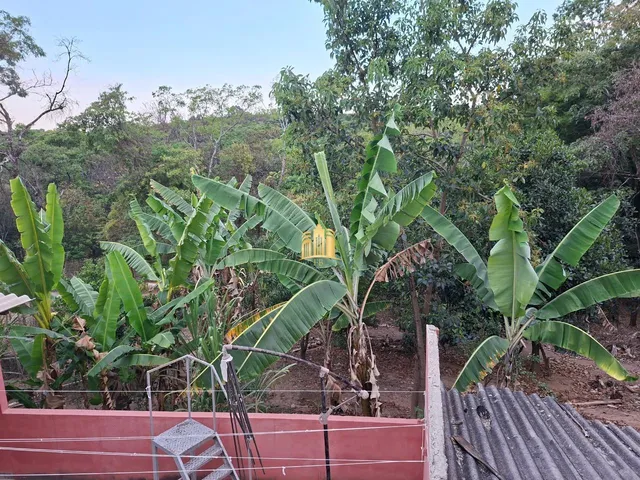 Imagem 11: 0 Fazenda / sítio com 3 dormitórios