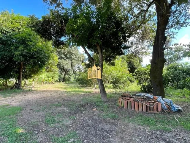 Imagem 13: Oportunidade Única Sítio Completo À Venda Próximo Ao Rio Paraopeba - R$650.000,00