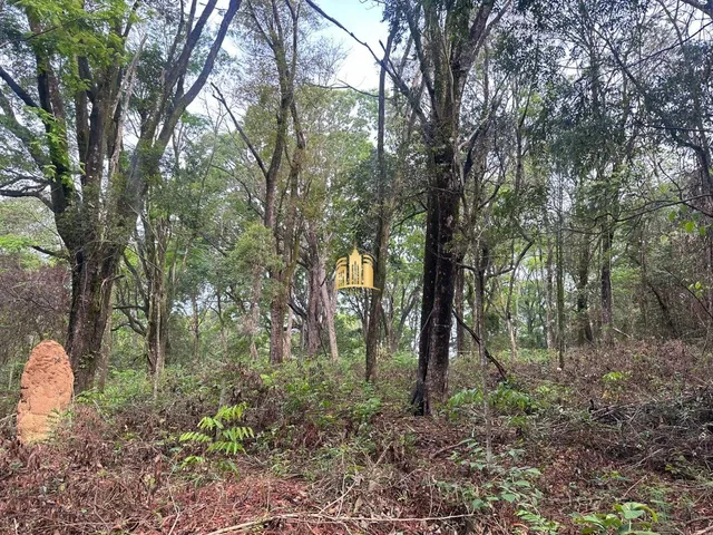 Imagem 11: Terreno a Venda Bairro Retiro Vista Alegre em Esmeraldas/Mg