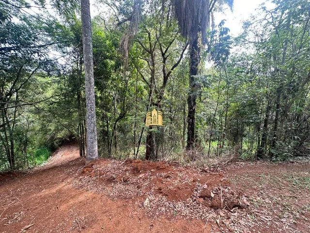 Imagem 5: Terreno a Venda Bairro Retiro Vista Alegre em Esmeraldas/Mg