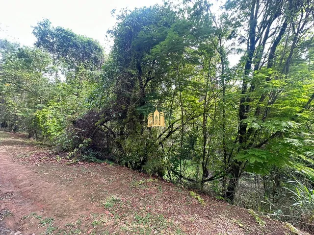 Imagem 16: Terreno a Venda Bairro Retiro Vista Alegre em Esmeraldas/Mg
