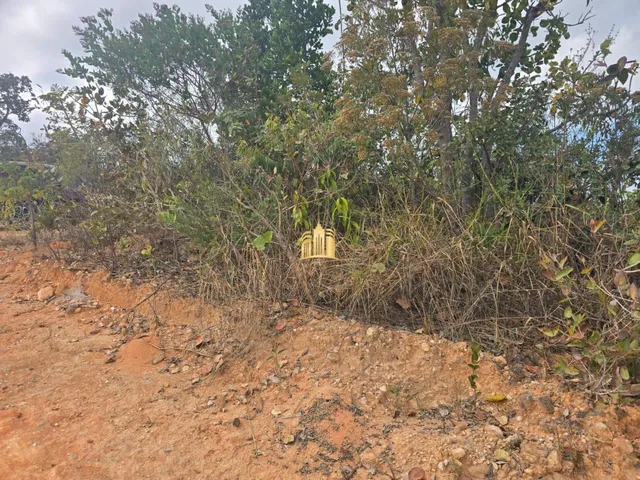 Imagem 4: Terreno À Venda Bairro Maceió Esmeraldas/Mg R$40.000,00