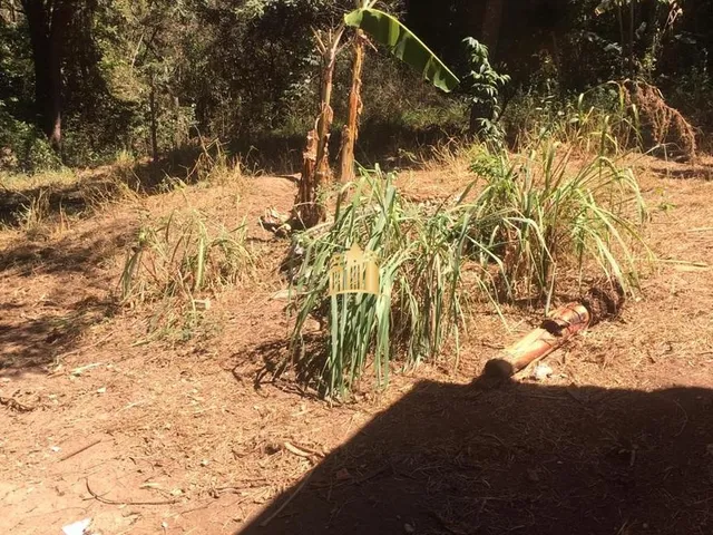 Imagem 6: Sitio a Venda Condominio Nosso Rancho em Esmeraldas/Mg