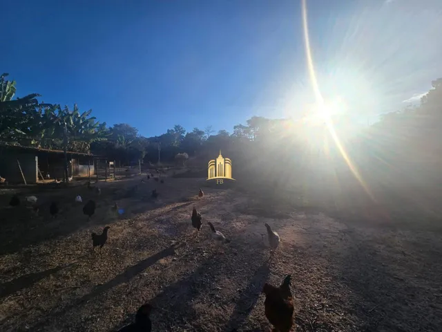 Imagem 6: Sítio À Venda Bairro Andiroba Esmeraldas/Mg