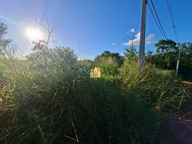 Imagem 3: Terreno a Venda Bairro Vargem Bento da Costa R$65.000,00