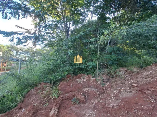 Imagem 7: Terreno a Venda Bairro Vargem Bento da Costa R$65.000,00