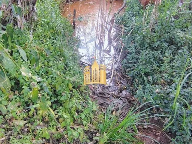 Imagem 6: Oportunidade de Negócio - Chácara À Venda em Esmeraldas/Mg