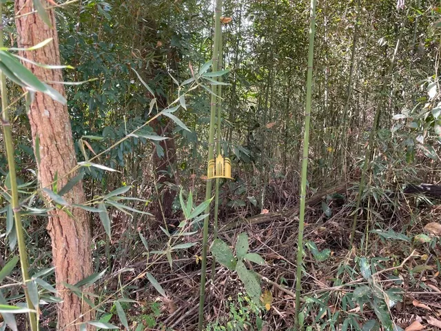 Imagem 7: Terreno a Venda Condominio Quintas das Esmeraldas em Esmeraldas/Mg R$350.000,00