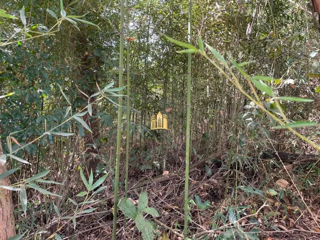 Imagem 4: Terreno a Venda Condominio Quintas das Esmeraldas em Esmeraldas/Mg R$350.000,00