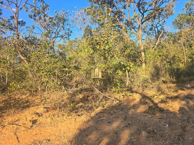 Imagem: Terreno À Venda Condomínio Vista Alegre