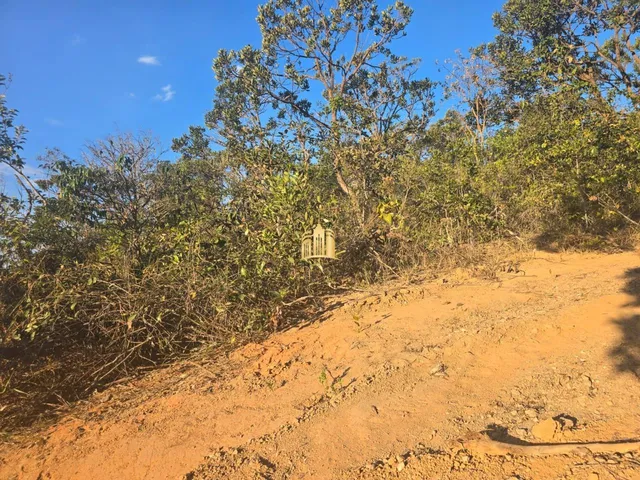 Imagem 4: Terreno À Venda Condomínio Vista Alegre Andiroba Esmeraldas/Mg