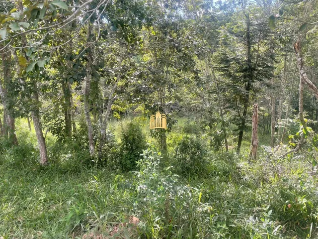 Imagem 6: Terreno a Venda Bairro Vargem Bento da Costa em Esmeraldas/Mg