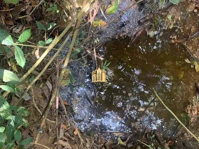 Imagem 9: Terreno a Venda Bairro Vargem Bento da Costa em Esmeraldas/Mg