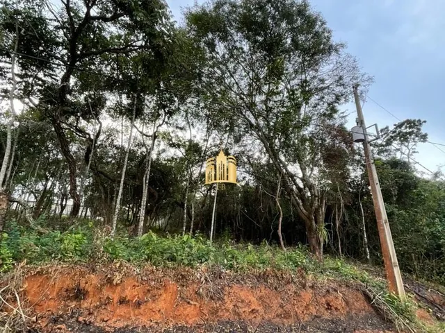 Imagem: Oportunidade Especial Terreno no Bairro