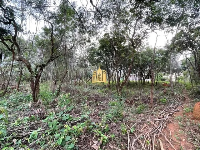 Imagem 15: Oportunidade Especial ? Terreno no Bairro Girassol! Esmeraldas/Mg