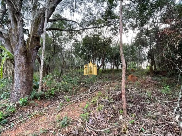 Imagem 8: Oportunidade Especial ? Terreno no Bairro Girassol! Esmeraldas/Mg