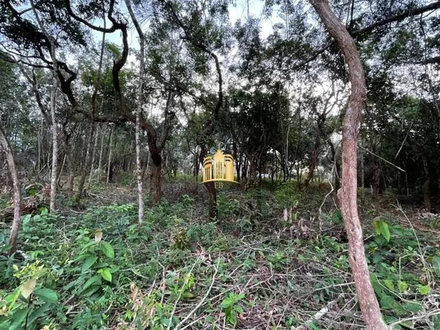 Imagem 9: Oportunidade Especial ? Terreno no Bairro Girassol! Esmeraldas/Mg