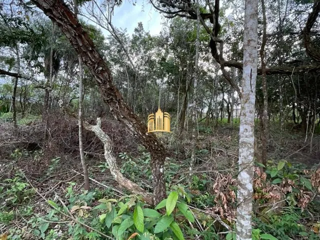 Imagem 14: Oportunidade Especial ? Terreno no Bairro Girassol! Esmeraldas/Mg