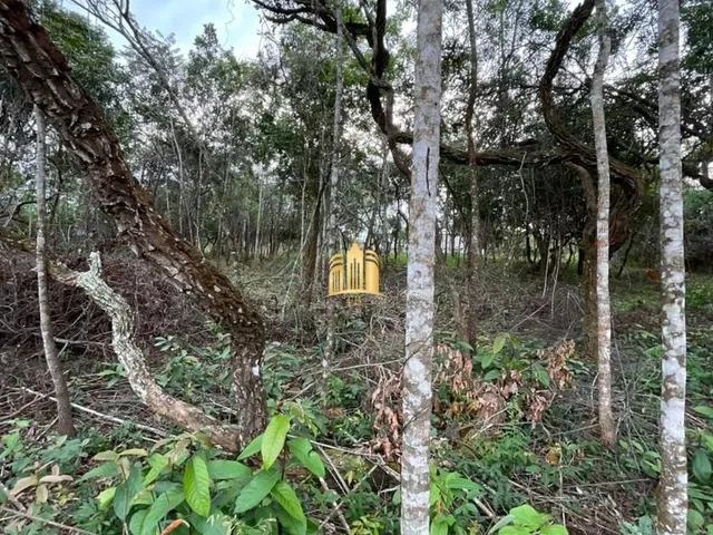 Imagem 11: Oportunidade Especial ? Terreno no Bairro Girassol! Esmeraldas/Mg