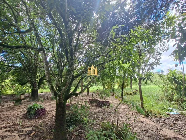 Imagem 12: Sitio a Venda Bairro Dumaville em Esmeraldas/Mg R$ 280.000,00
