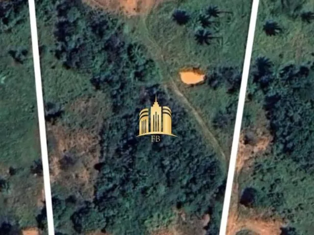 Imagem 5: Sitio a Venda Cidade Mateus Leme/Mg R$1.200.000,00