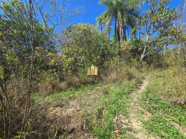 Imagem 4: Terreno a Venda Bairro Cidade Jardim em Esmeraldas/Mg
