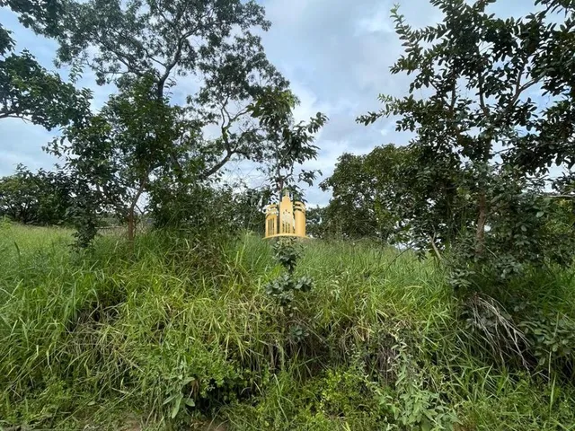 Imagem: Terreno a Venda Bairro Pousada do Lago em