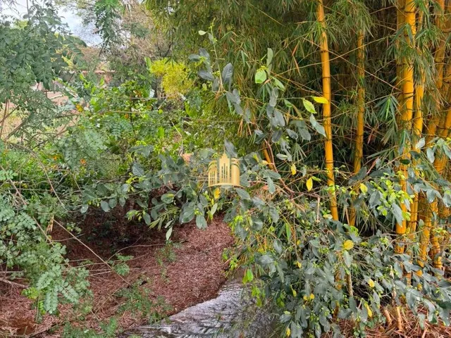 Imagem 2: Sitio a Venda em Mateus Leme/Mg R$600.000,00
