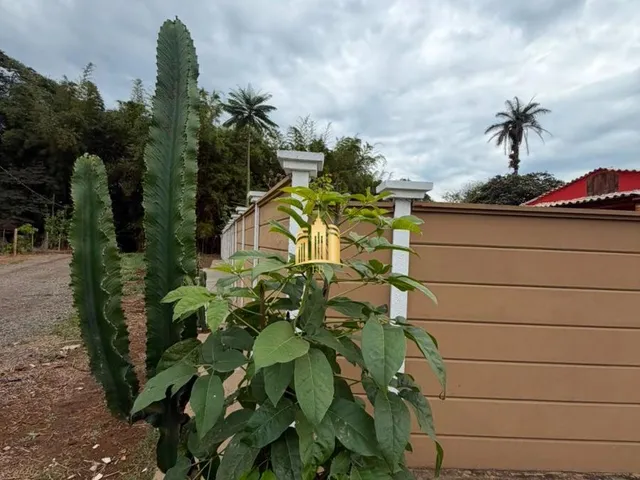 Imagem 3: Sitio a Venda em Mateus Leme/Mg R$600.000,00