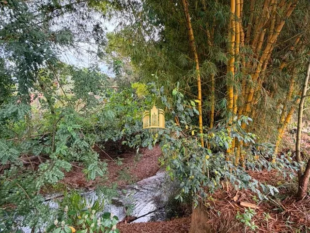 Imagem 7: Sitio a Venda em Mateus Leme/Mg R$600.000,00
