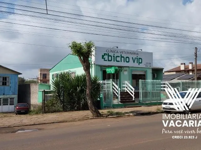 Imagem 13: .