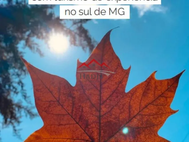 Imagem 2: Sítio À Venda em Bom Jardim, Camanducaia/Mg 79M