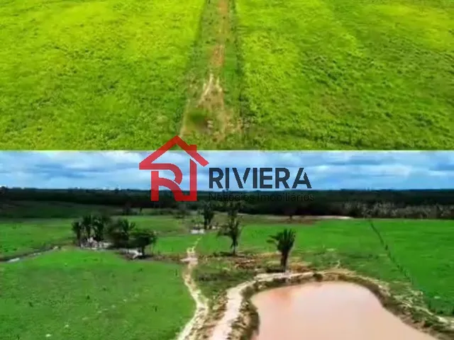 Imagem 10: Fazenda de 160 Hectares em santa Rita-Ma: Oportunidade Única de Investimento!