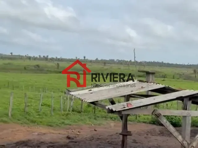 Imagem 9: Fazenda de 160 Hectares em santa Rita-Ma: Oportunidade Única de Investimento!
