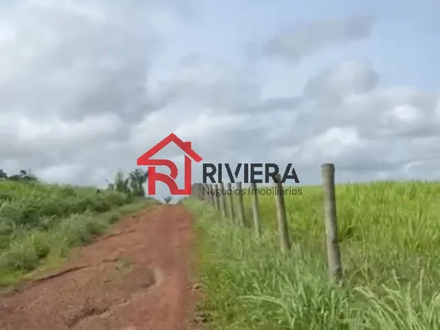 Imagem 6: Fazenda de 160 Hectares em santa Rita-Ma: Oportunidade Única de Investimento!