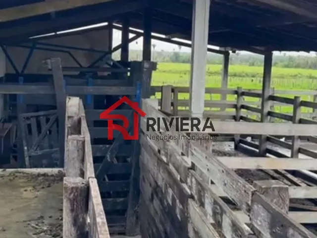 Imagem 14: Fazenda de 160 Hectares em santa Rita-Ma: Oportunidade Única de Investimento!
