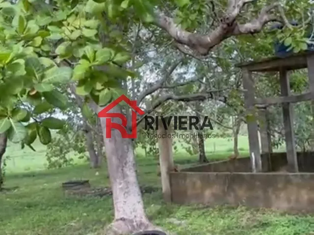 Imagem 4: Fazenda de 160 Hectares em santa Rita-Ma: Oportunidade Única de Investimento!